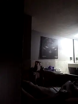 SiperoXxX online show from November 4, 9:19 am