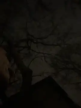 Snapshot of -yakimov- chatting on January 31, 7:34 pm -yakimov- online show from January 31, 7:34 pm