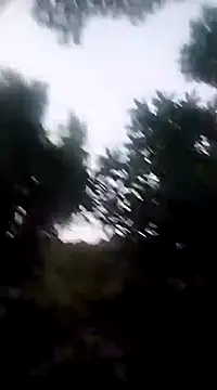 Danna-linyi online show from December 20, 11:37 pm