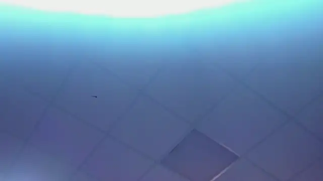 Lexy-Woorhez online show from February 28, 1:36 pm