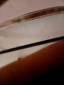 Snapshot of frotasso chatting on October 23, 11:14 pm frotasso online show from October 23, 11:14 pm