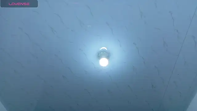 Beautifulkattia online show from March 1, 1:18 am