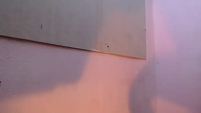 Snapshot of mr_stiven_ chatting on March 22, 2:16 am mr stiven  online show from March 22, 2:16 am