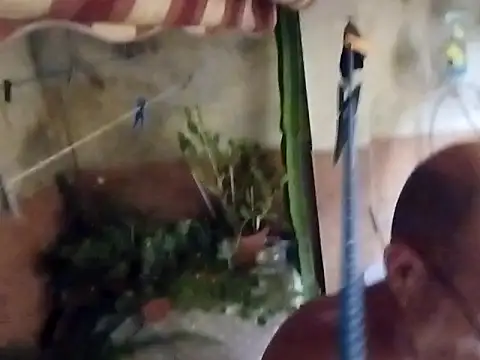 Snapshot of soy_5 chatting on September 10, 8:53 pm soy 5 online show from September 10, 8:53 pm