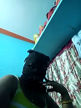 bhavanitelu online show from November 20, 3:39 am