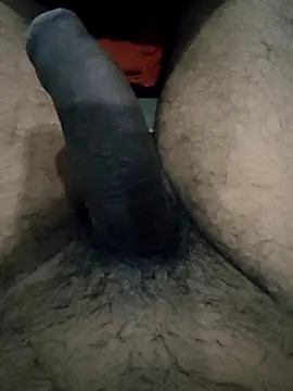 kamesh telugu online show from October 3, 4:15 pm