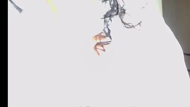 Snapshot of arianna_ros3 chatting on February 16, 2:18 am arianna ros3 online show from February 16, 2:18 am