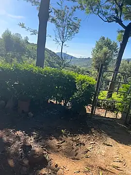 Hillz king 98 online show from February 4, 3:54 am