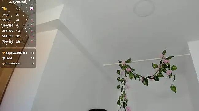 Snapshot of Ninna--1 chatting on January 12, 6:49 pm Ninna--1 online show from January 12, 6:49 pm