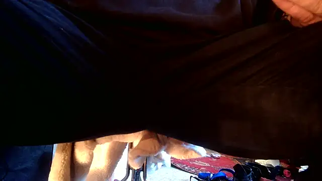 SilverandFox online show from September 10, 5:46 pm