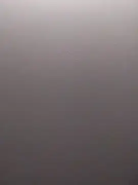 Snapshot of StarSex22 chatting on February 7, 3:45 am StarSex22 online show from February 7, 3:45 am