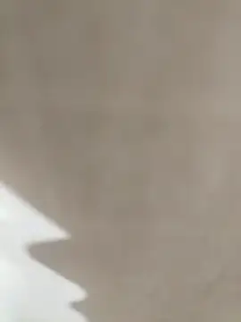 prnv00007 online show from January 1, 4:39 pm