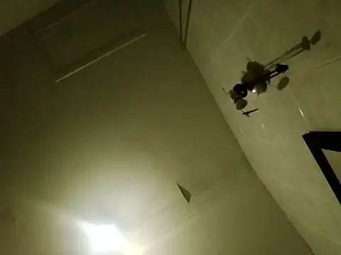 aigledauphin online show from January 6, 5:33 am