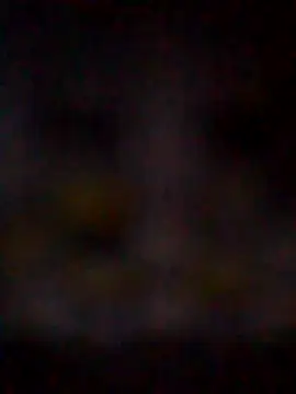 Snapshot of missAmanda69 chatting on July 29, 11:25 pm missAmanda69 online show from July 29, 11:25 pm