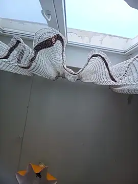 Snapshot of Lauren_Amabel chatting on February 22, 8:24 am Lauren Amabel online show from February 22, 8:24 am