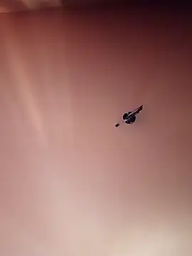 Snapshot of BR_master chatting on September 19, 10:16 am BR master online show from September 19, 10:16 am