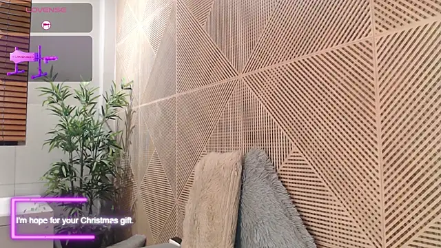 tim  fox online show from December 14, 1:16 pm