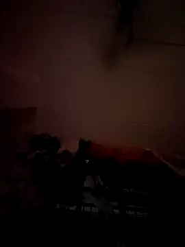 Snapshot of opkiller901 chatting on January 12, 10:01 pm opkiller901 online show from January 12, 10:01 pm