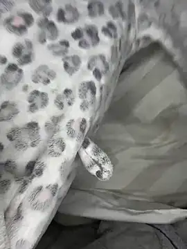 VioletxBlue online show from March 28, 11:32 am