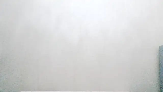 vnhfds online show from January 22, 2:56 pm