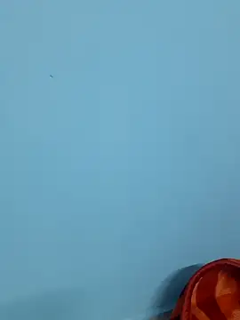 Snapshot of Divya-2007 chatting on February 7, 12:06 pm Divya-2007 online show from February 7, 12:06 pm