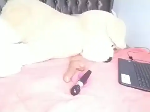 Chandy012 online show from April 8, 6:13 am