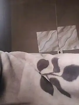 Snapshot of LaneYam chatting on April 9, 5:51 am LaneYam online show from April 9, 5:51 am