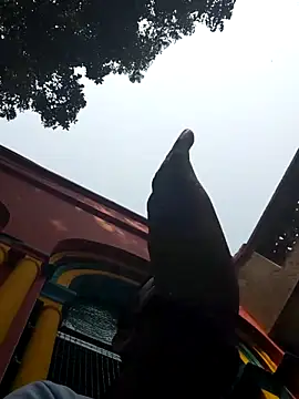 xx54362 online show from March 1, 7:19 am