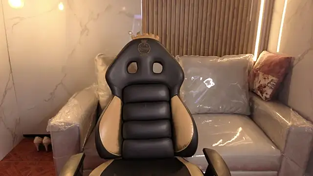 Kitten Cam online show from January 9, 3:53 am