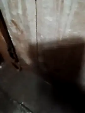 Raj41 online show from September 20, 1:39 am