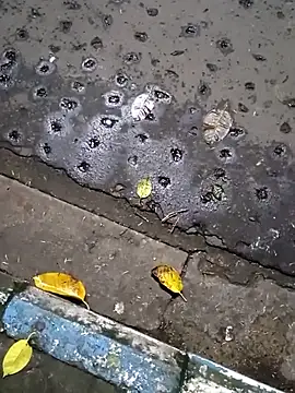 Raj41 online show from September 20, 1:45 pm