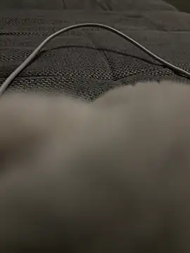 Snapshot of hengst2312 chatting on January 20, 6:10 pm hengst2312 online show from January 20, 6:10 pm