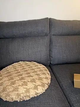 Lobna-alami online show from February 11, 11:54 pm