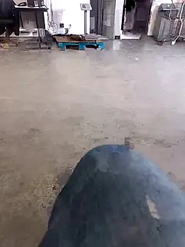 Trixboy201 online show from September 29, 7:19 pm