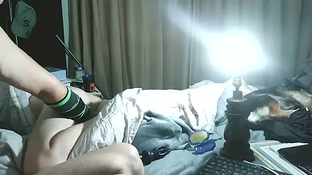 xylegs online show from June 21, 2:47 am