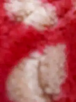 Snapshot of mhmia chatting on February 8, 5:29 pm mhmia online show from February 8, 5:29 pm