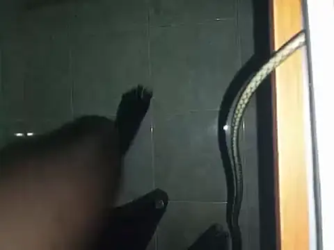 Snapshot of world_bigdick1 chatting on March 2, 6:48 am world bigdick1 online show from March 2, 6:48 am