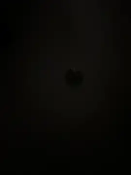 Boneca25 online show from February 5, 8:30 am