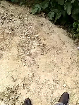 Snapshot of xmanrawan2 chatting on January 30, 10:50 am xmanrawan2 online show from January 30, 10:50 am