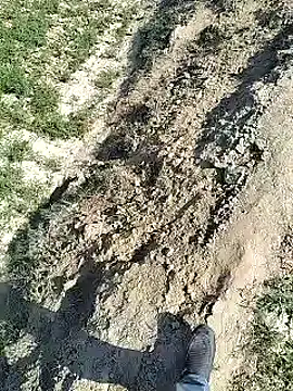 Snapshot of xmanrawan2 chatting on February 4, 7:29 am xmanrawan2 online show from February 4, 7:29 am