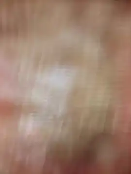 Snapshot of xmanrawan2 chatting on February 20, 8:39 am xmanrawan2 online show from February 20, 8:39 am