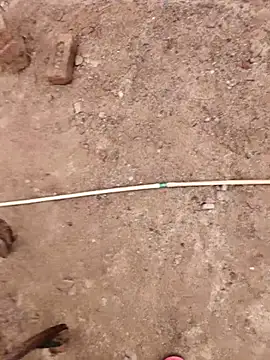 Snapshot of xmanrawan2 chatting on October 9, 7:50 am xmanrawan2 online show from October 9, 7:50 am