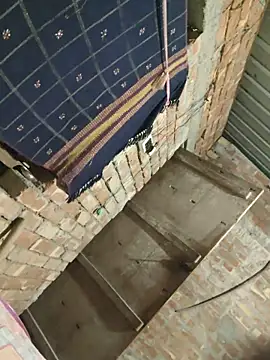 birds0641 online show from June 12, 7:57 pm
