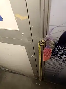 wadmma online show from February 5, 7:10 pm