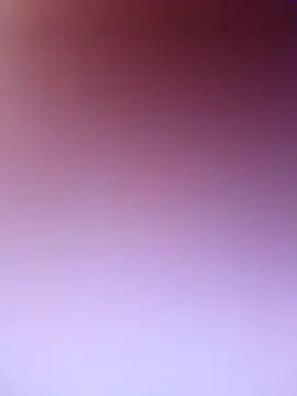 wadmma online show from February 19, 7:48 am