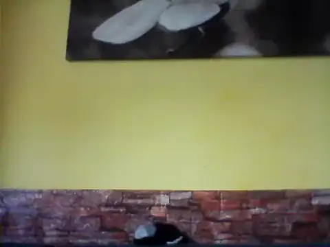 sexy lady2 online show from February 17, 10:07 am