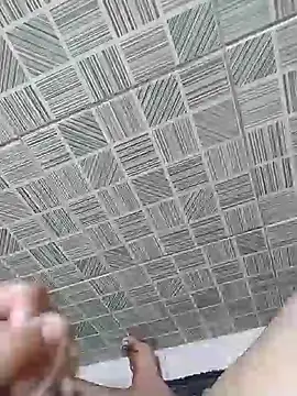 seulobinhoOficial04 online show from April 17, 8:12 pm