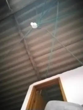 Snapshot of Ariell_Kieran chatting on July 2, 10:38 pm Ariell Kieran online show from July 2, 10:38 pm