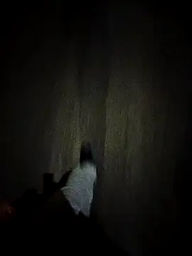 Snapshot of dominationmybigdick chatting on October 27, 9:30 pm dominationmybigdick online show from October 27, 9:30 pm