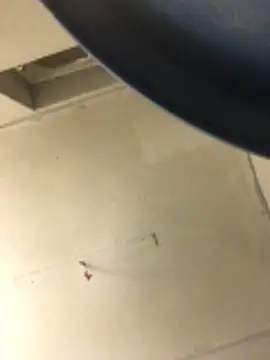 cumcum94 online show from February 17, 7:53 pm